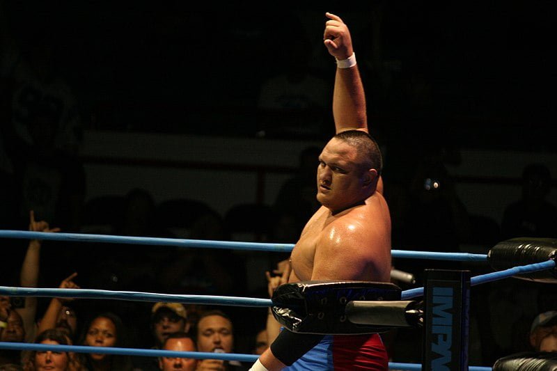 Samoa Joe career