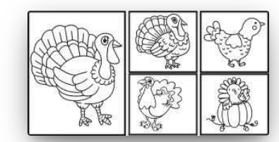 turkey coloring