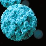 CDC Norovirus Is Actually Surging Across U.S. Highest In The Northeast