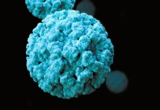 CDC Norovirus Is Actually Surging Across U.S. Highest In The Northeast