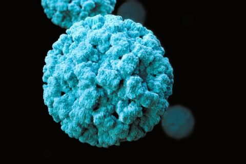CDC Norovirus Is Actually Surging Across U.S. Highest In The Northeast